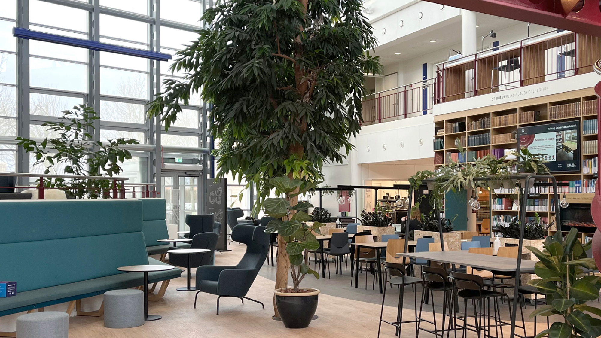 Admission Requirements for EU/EEA Applicants - Aalborg University